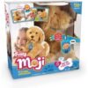 Moji The Lovable Labradoodle